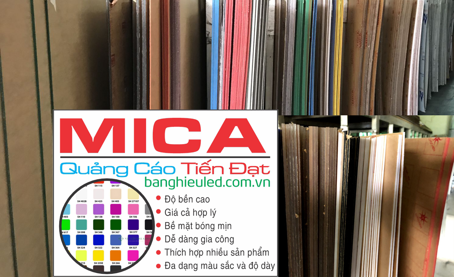 tam mica